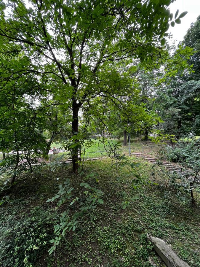 Apartman Sasha 2 Belgrad Exterior foto