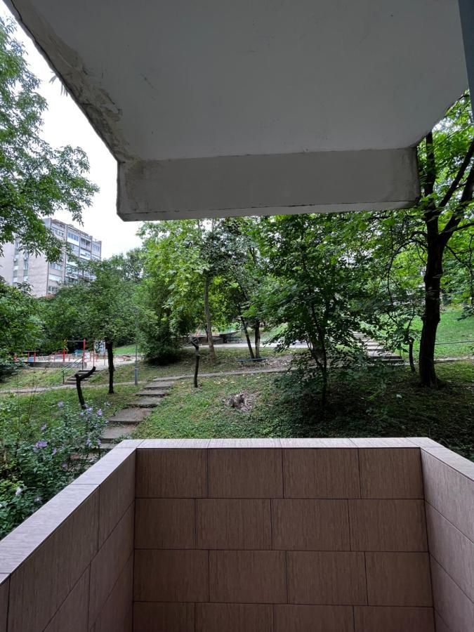 Apartman Sasha 2 Belgrad Exterior foto