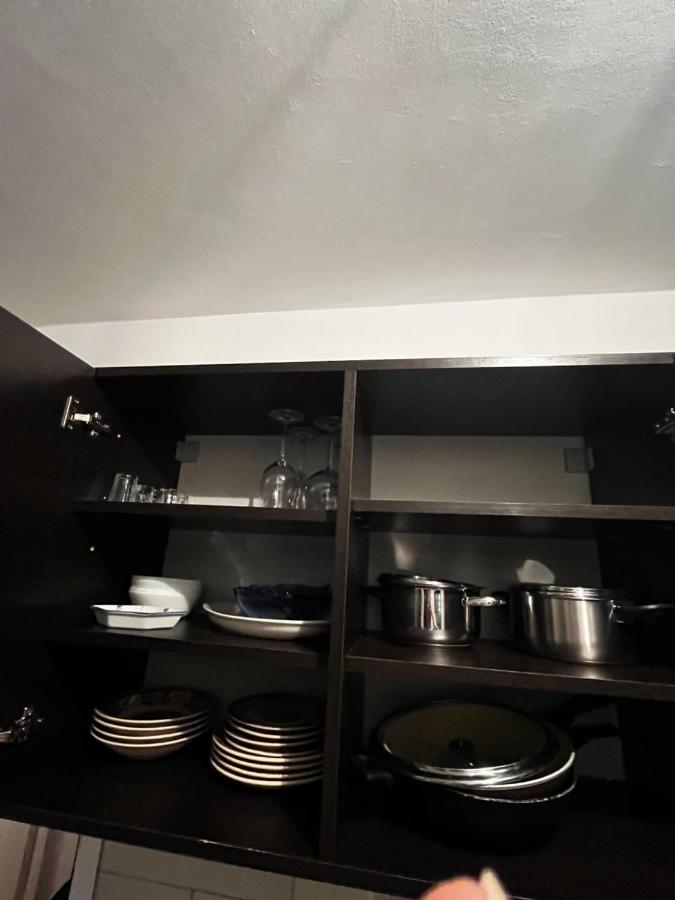 Apartman Sasha 2 Belgrad Exterior foto