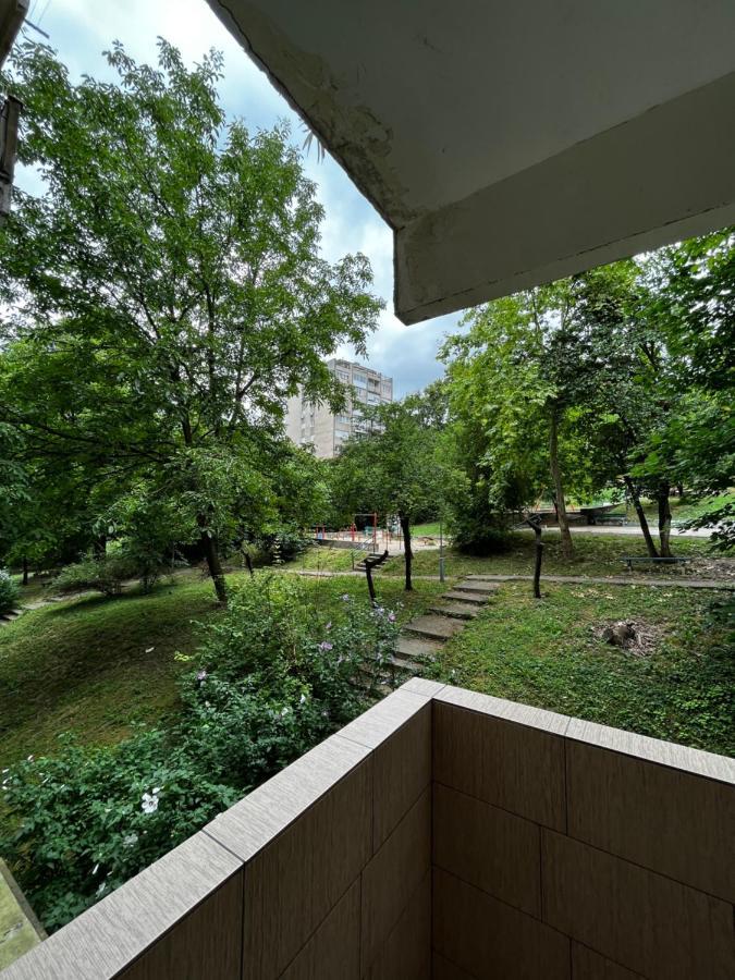 Apartman Sasha 2 Belgrad Exterior foto