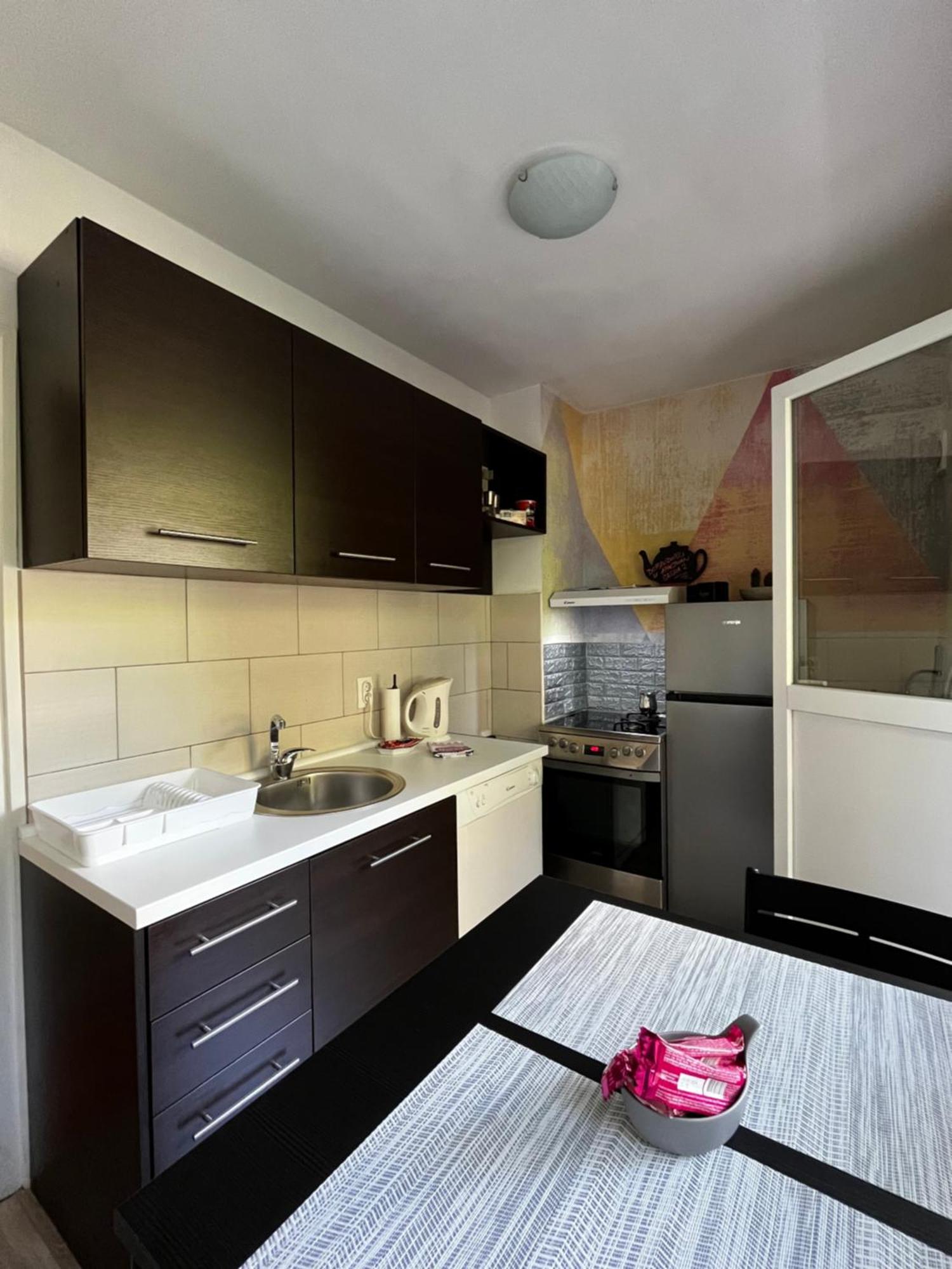 Apartman Sasha 2 Belgrad Exterior foto